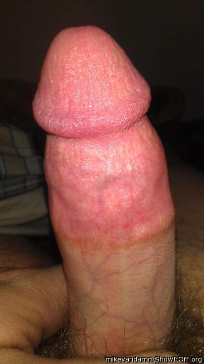 Photo of a cock from mikevandamn