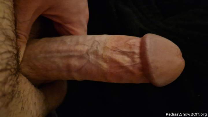 Photo of a middle leg from Rediss