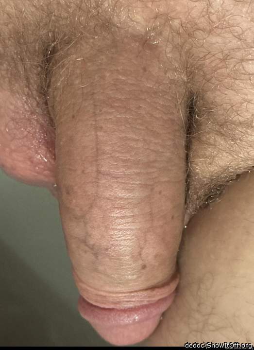 Cock