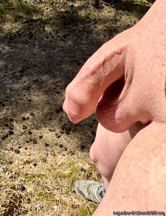 Photo of a pocket rocket from ArjanDordt