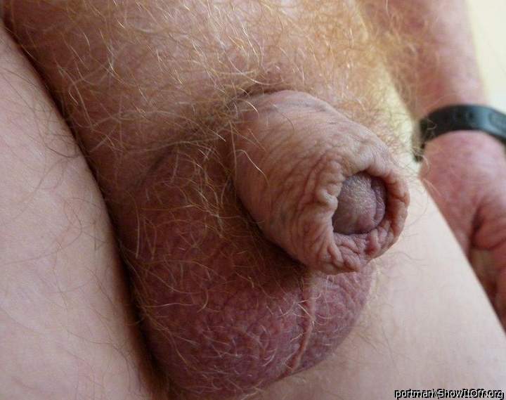 Baby ginger