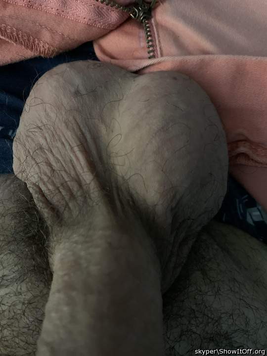 Photo of a bat from Skyper