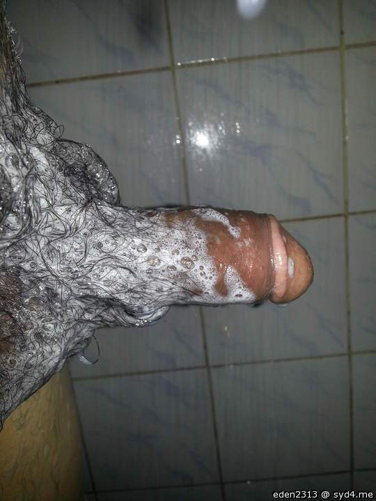 Photo of a middle leg from eden2313