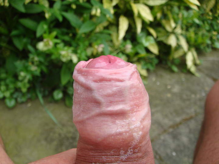 Photo of a horn from sivad666