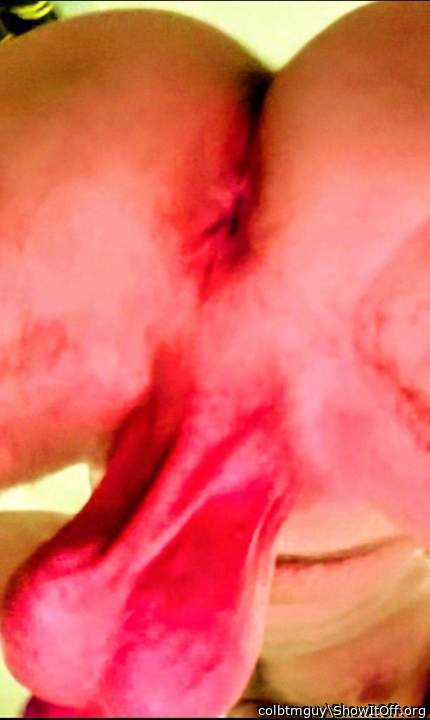 Testicles Photo from colbtmguy