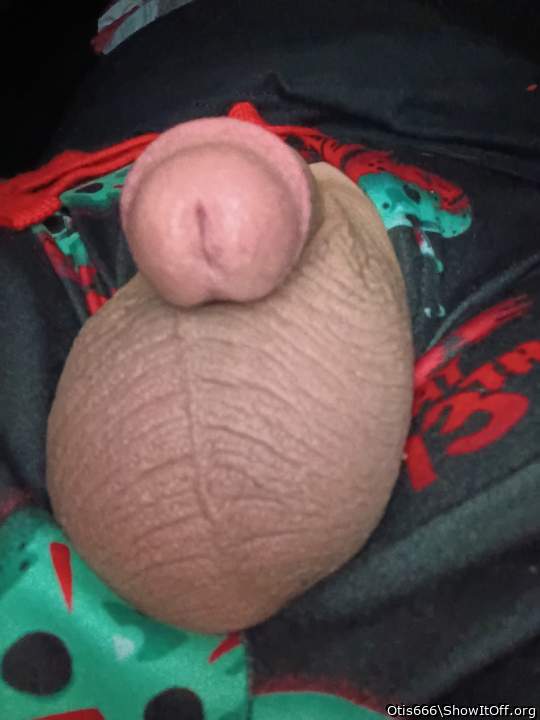 Photo of a snake from Otis666