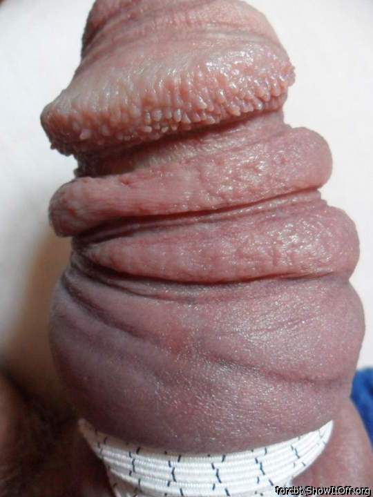 Your bumps. My tongue. Now.   