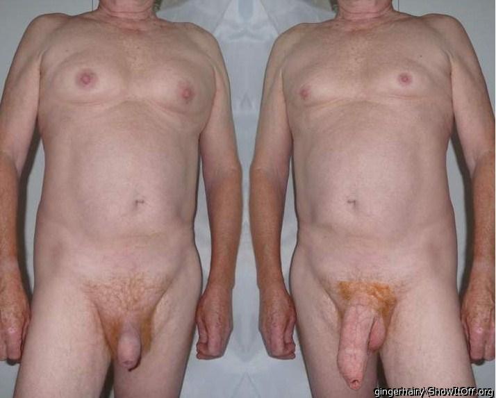 Photo of a bat from gingerhairy