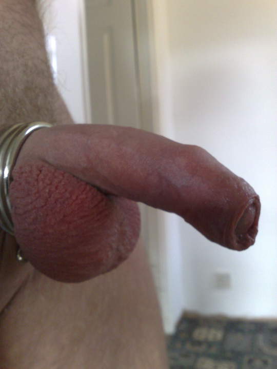 Photo of a horn from X5TANNED
