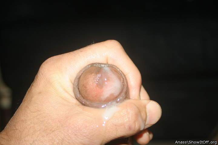 Photo of a weasel from Anass
