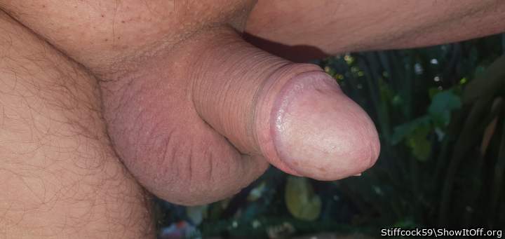 Photo of a hot dog from Stiffcock59