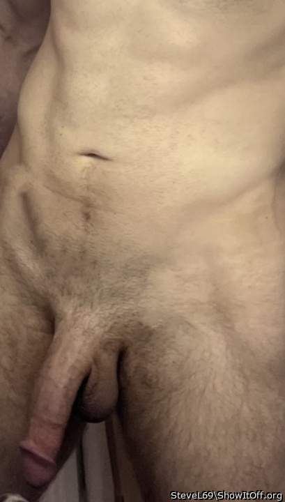 Photo of a python from SteveL69