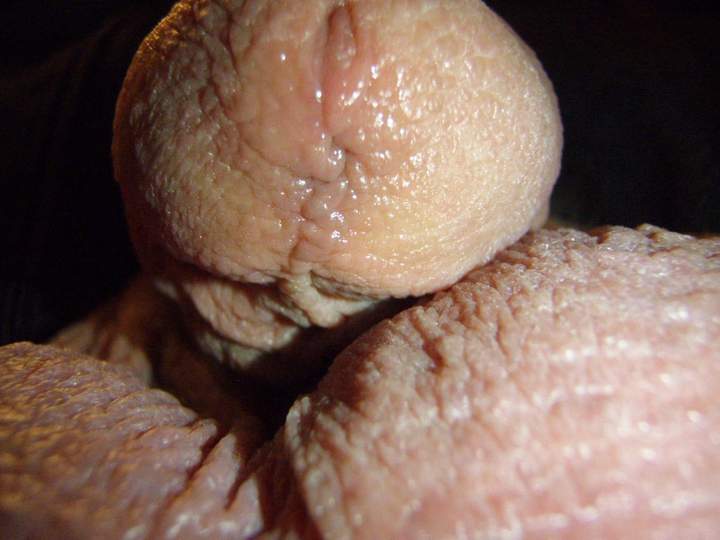 Photo of a ram rod from lilsoftee