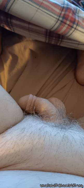 Photo of a bat from smallstuff