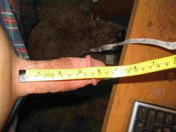 Photo of a short leg from sdalex