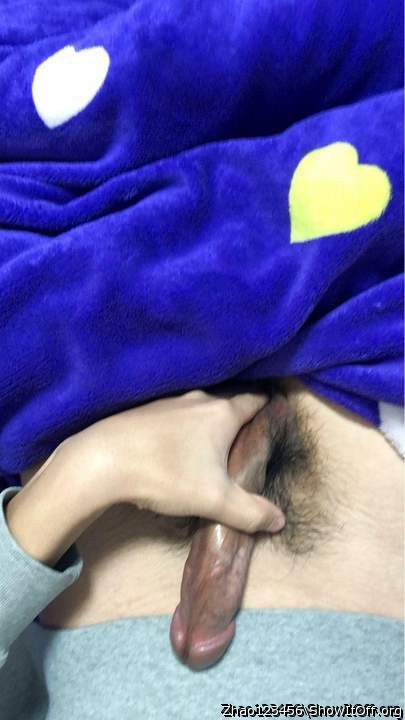 Photo of a middle leg from Zhao123456