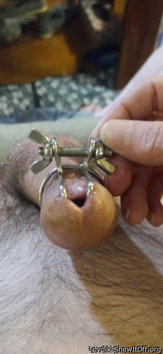 Penis sounding