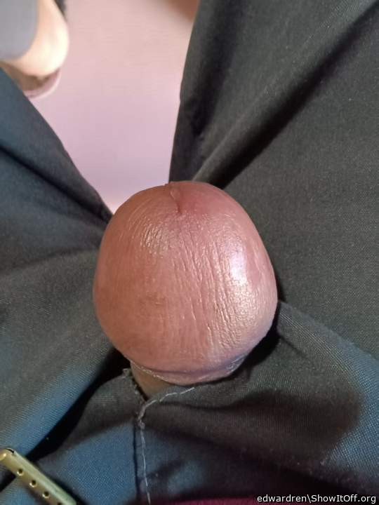 Photo of a middle leg from edwardren