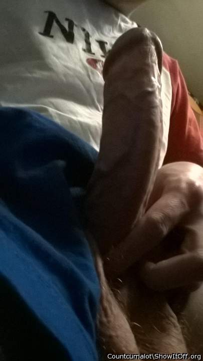 Photo of a horn from Countcumalot