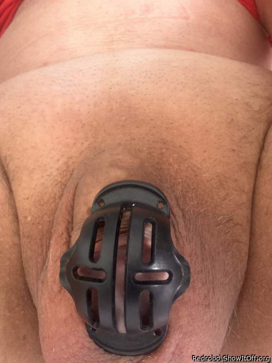 A little cage