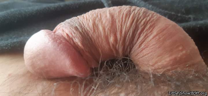 Photo of a private part from Little