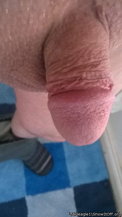 Photo of a drain pipe from baldeagle1