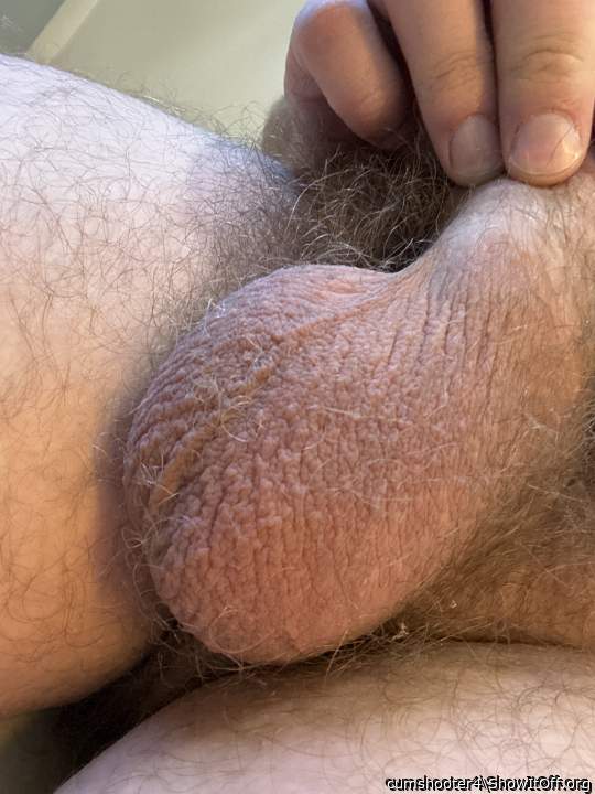 Testicles Photo from cumshooter4