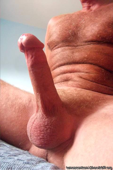 My neatly groomed cock.