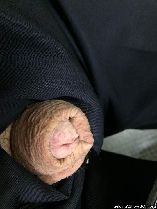 Photo of a love wand from gelding