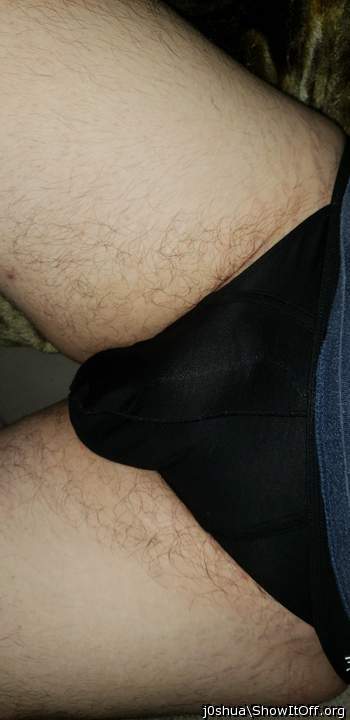 Photo of a weasel from j0shua