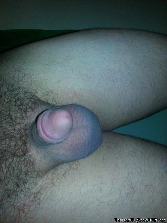 Photo of a sausage from Tnelson88