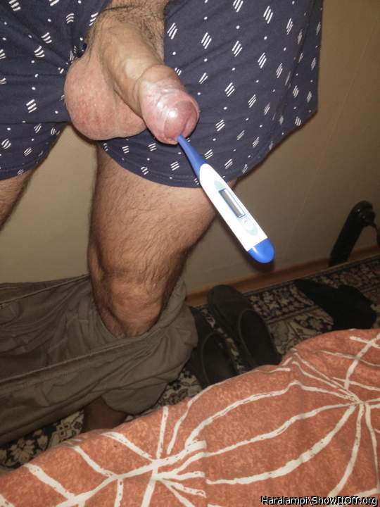 Cock body temperature