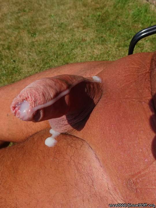 Photo of a horn from sivad666