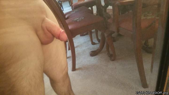 Photo of a hot dog from J1031