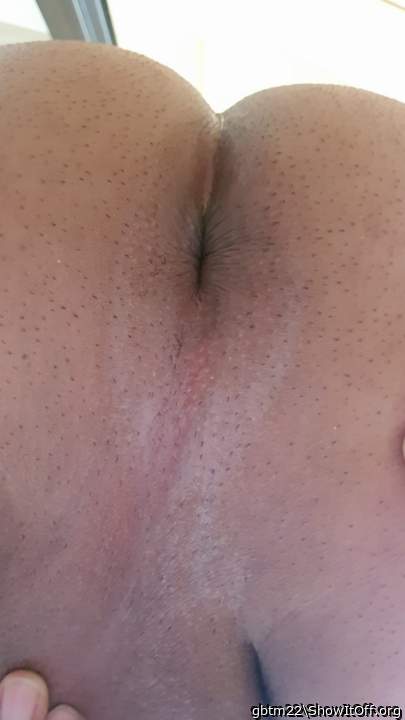 Photo of a middle leg from gbtm22