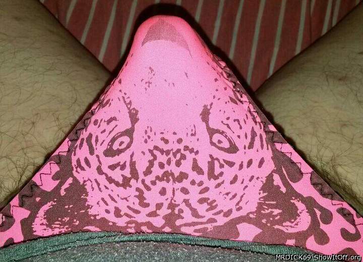 Adult image from MRDICK69