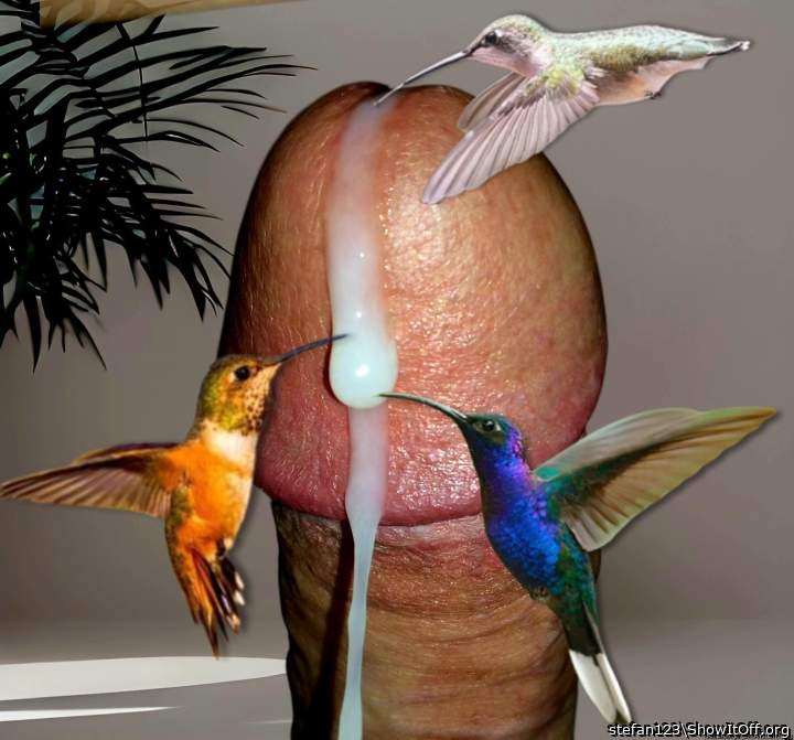 Everyone wants the life-giving elixir   