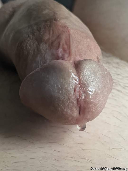 Photo of a thing from Antonek