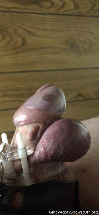 Photo of a wiener from Gingy4got