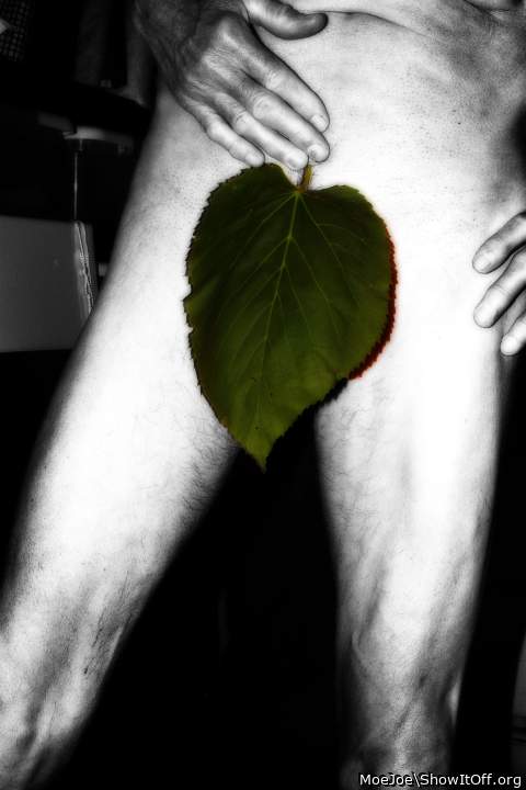 My Garden of Eden wear....