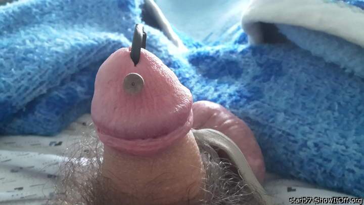 Photo of a sausage from stari57