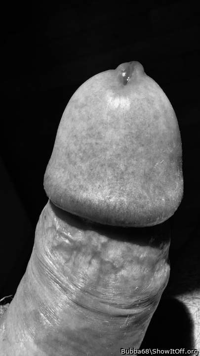 Photo of a third leg from Bubba68