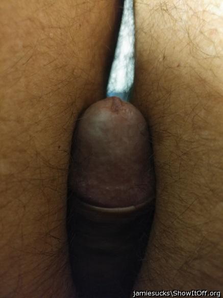 Photo of a snake from jamiesucks
