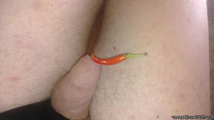 very nice, super, sch�n.:   