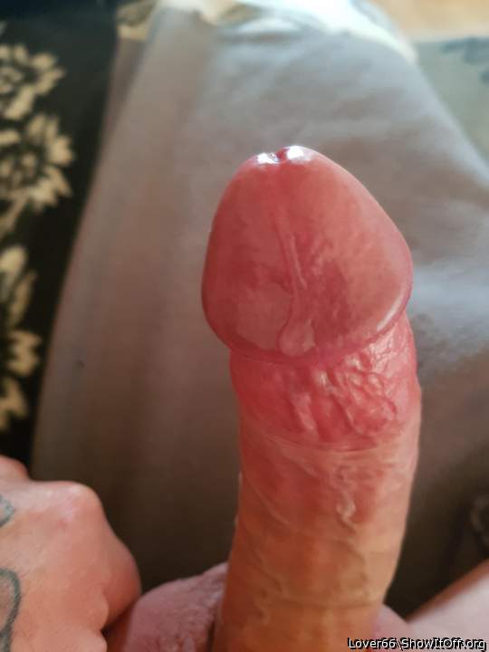 My juciy cock. Lick it