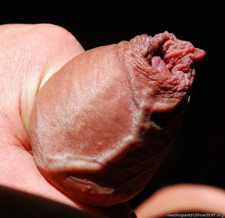 Nice veiny view  