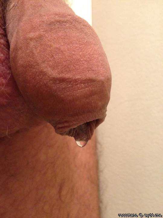 Photo of a phallus from roccotano