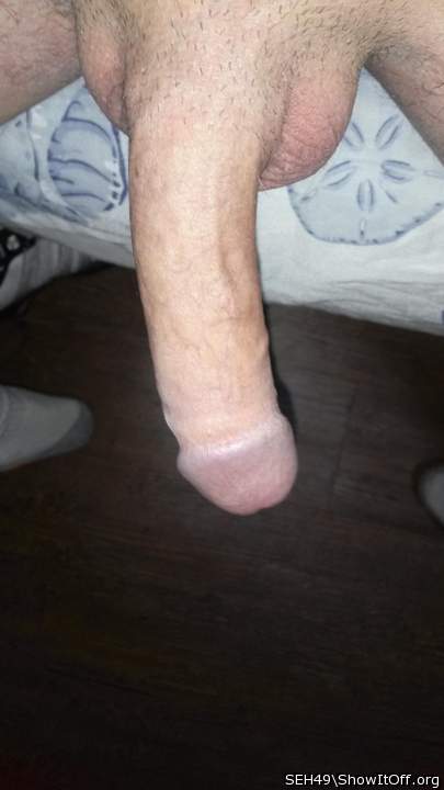 Photo of a ram rod from SEH49