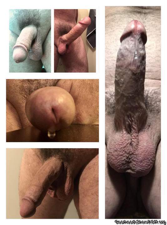 Contest pics