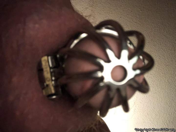 Photo of a ram rod from Gingy4got